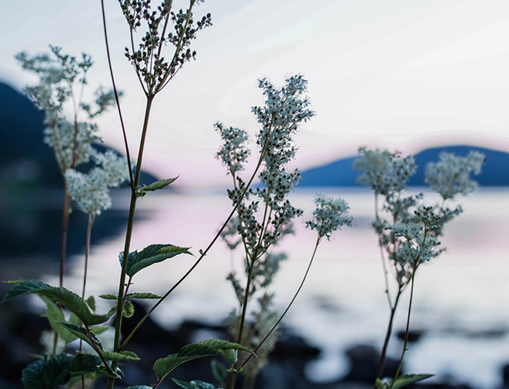 Krisesenteret i Sogn og Fjordane